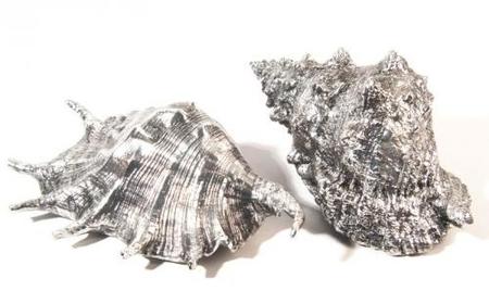 Smukke konkylier i sølvdekoreret polyresin. MODEL 1 = TV - MODEL 2 = TH